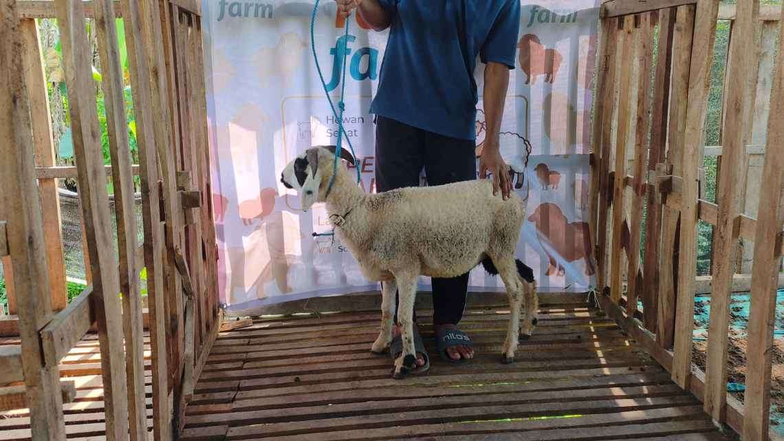 571